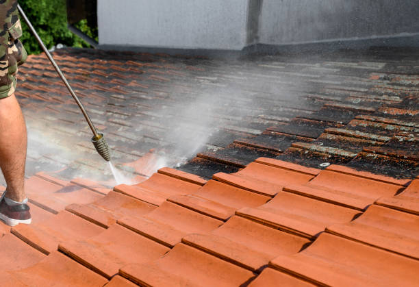 Best Pressure Washing Near Me  in Kent Estates, IA